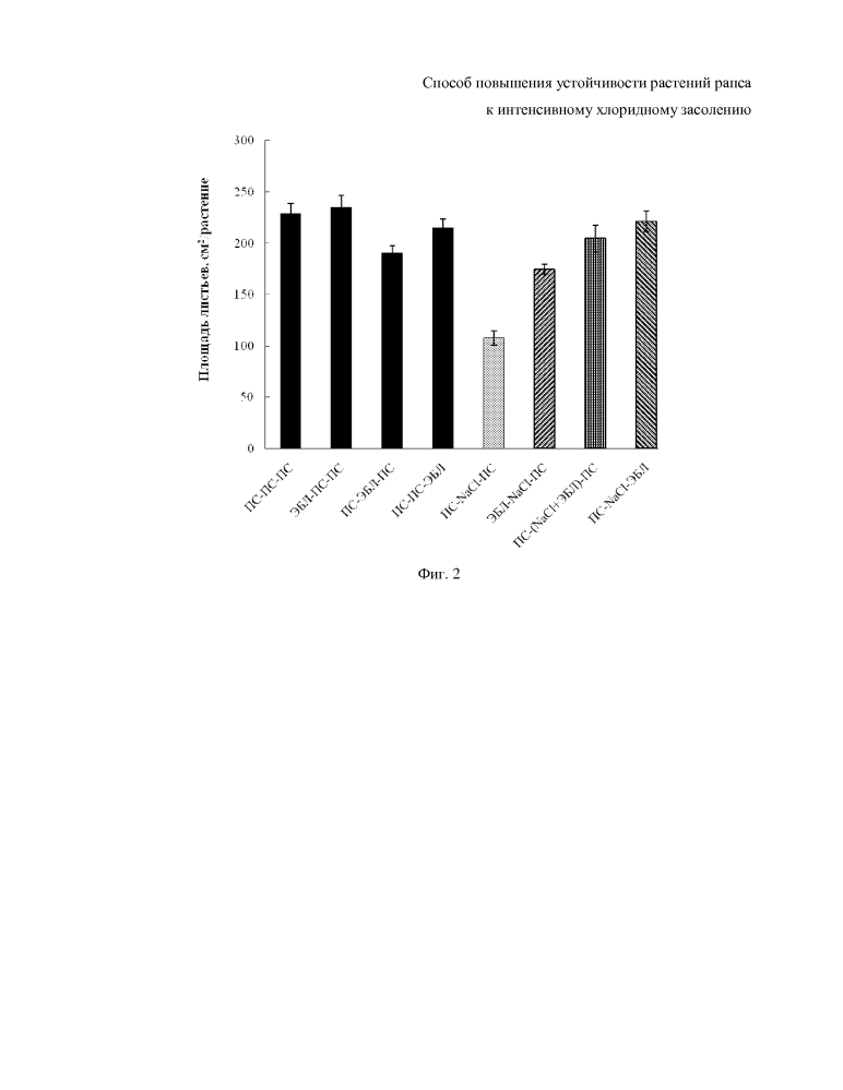 Способ повышения устойчивости растений рапса к интенсивному хлоридному засолению (патент 2603091)