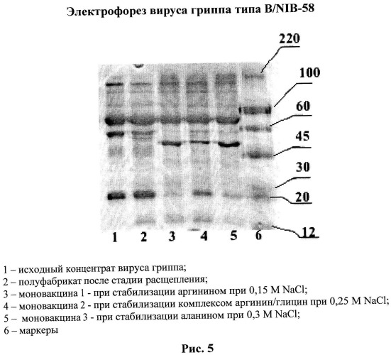 Вакцина против гриппа и способ ее получения (патент 2523614)