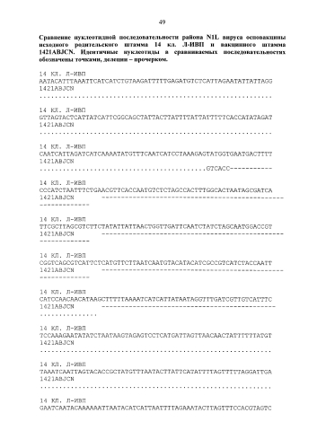 Рекомбинантный штамм л-ивп 1421abjcn вируса осповакцины с нарушенными генами вирулентности a56r, b8r, j2r, c3l, n1l для получения живой культуральной аттенуированной вакцины против натуральной оспы и других ортопоксвирусов, патогенных для человека (патент 2588388)