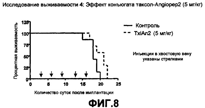 Полипептид, способный преодолевать гематоэнцефалический барьер, и его конъюгат (патент 2408605)