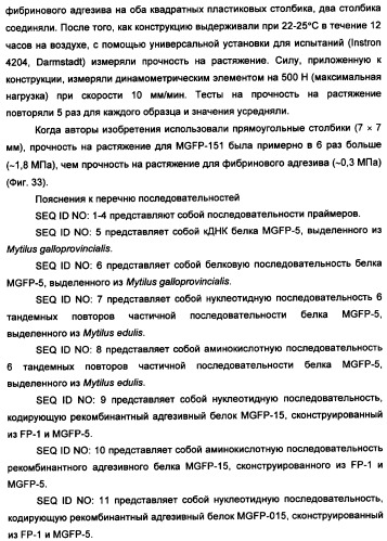 Биоадгезив мидии (патент 2349599)