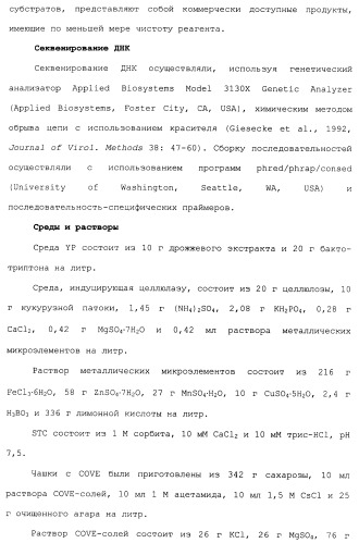Клетка-хозяин trichoderma reesei для получения целлюлолитической белковой композиции, целлюлолитическая белковая композиция, способы ее получения и применения (патент 2494146)