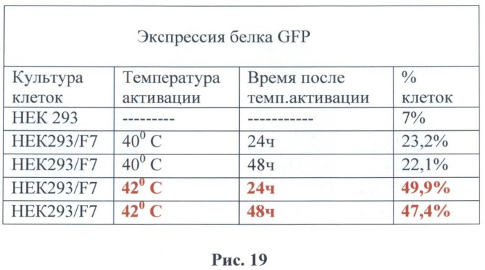 Вектор экспрессии для трансгенного введения в клетки и ткани млекопитающих с регулируемым невирусным промотором (патент 2495128)