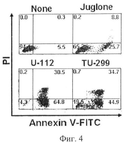 Средство, стимулирующее апоптоз клеток лейкемии человека (варианты) (патент 2372919)