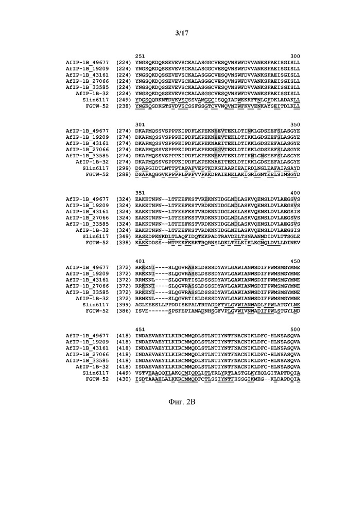 Новые инсектицидные белки и способы их применения (патент 2666914)