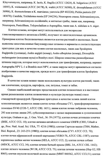 Способ лечения рака у человека (варианты), применяемая в способе форма (варианты) и применение антитела (варианты) (патент 2430739)