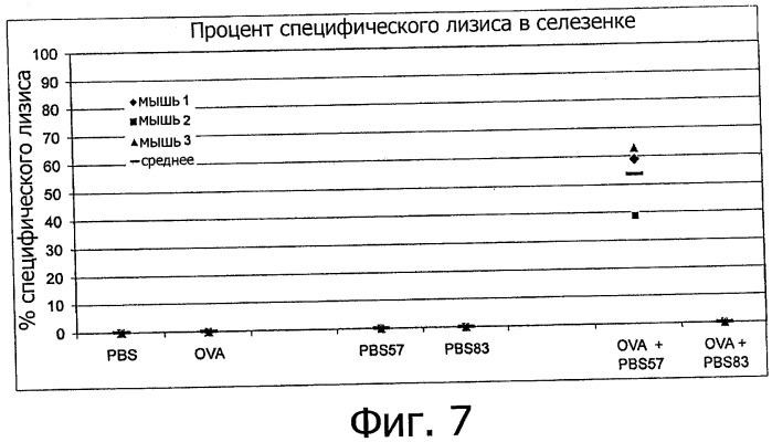 Комбинированный препарат для увеличения иммуногенности вакцины (варианты) (патент 2491090)