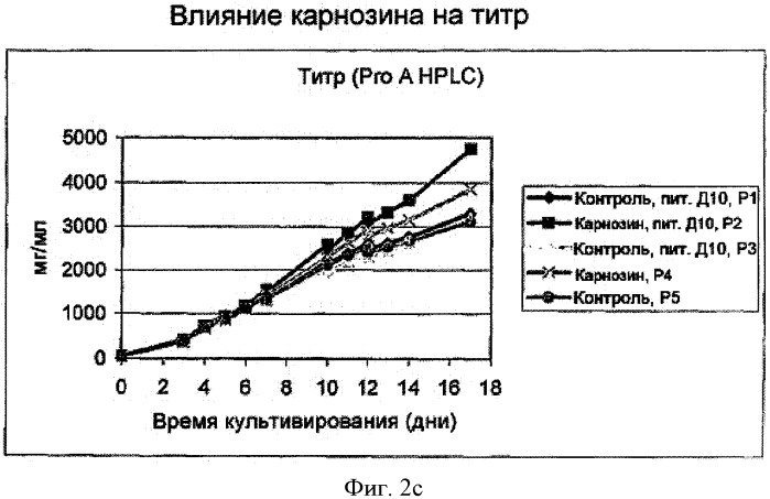 Способ получения белков с использованием соединений, препятствующих старению (патент 2491347)