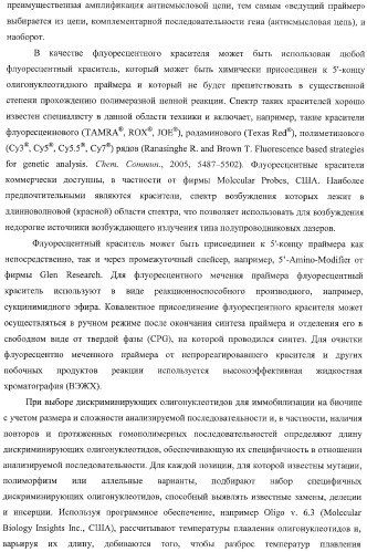 Способ одновременного обнаружения микобактерий туберкулезного комплекса и идентификации мутаций в днк микобактерий, приводящих к устойчивости микроорганизмов к рифампицину и изониазиду, на биологических микрочипах, набор праймеров, биочип и набор олигонуклеотидных зондов, используемые в способе (патент 2376387)