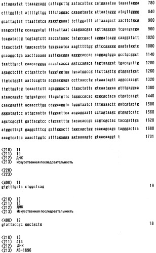 Способ получения макролидного соединения и штаммы streptomyces sp., mortierella sp. и micromonosporaceae (патент 2330069)