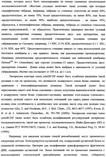 Способ получения l-треонина и l-аргинина с использованием бактерии, принадлежащей к роду escherichia, в которой инактивирован кластер генов yehabcde (патент 2337960)