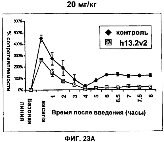 Антитела против интерлейкина-13 человека и их применение (патент 2427589)