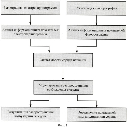 Способ прогнозирования ав-блокады ii степени (патент 2410022)