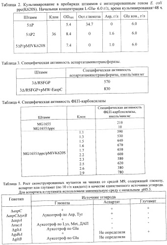 Бактерия, принадлежащая к роду pantoea, - продуцент l-аспартата или метаболита, являющегося производным l-аспартата, и способ получения l-аспартата или метаболита, являющегося производным l-аспартата (патент 2411289)