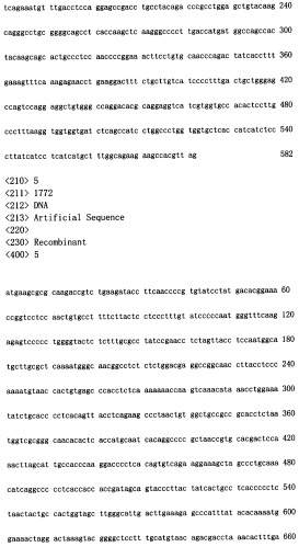 Конструирование рекомбинанта онколитического аденовируса, специфически экспрессирующего иммуномодуляторный фактор gm-csf в опухолевых клетках, и его применение (патент 2361611)