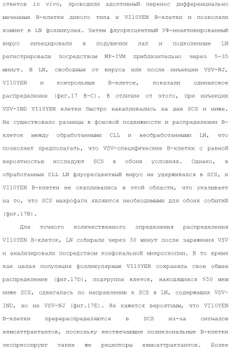 Включение адъюванта в иммунонанотерапевтические средства (патент 2496517)