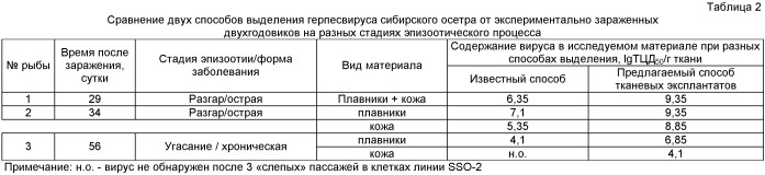 Способ выделения ихтиовирусов из клинического материала от рыб для диагностических и мониторинговых исследований (патент 2402774)