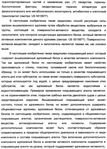 Биоадгезив мидии (патент 2349599)