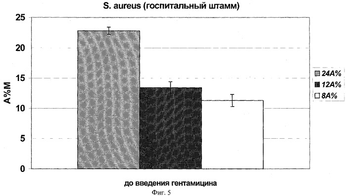 Способ индикации госпитальных штаммов по биоритмам бактерий (патент 2285257)