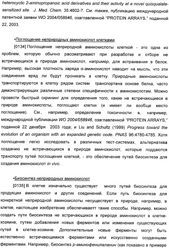 Генетически кодируемые флюоресцентные кумариновые аминокислоты (патент 2473690)