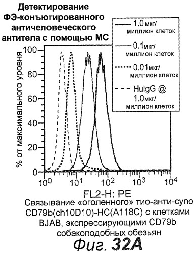 Анти-cd79b антитела и иммуноконъюгаты и способы их применения (патент 2511410)