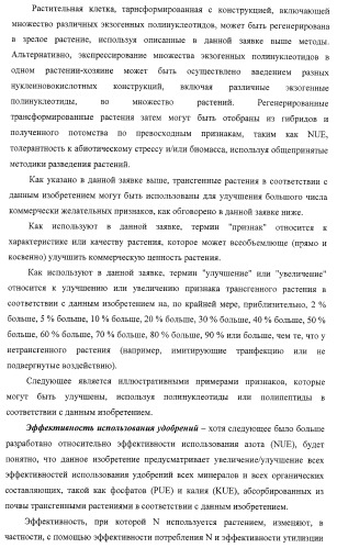 Изолированные полипептиды, кодирующие их полинуклеотиды, экспрессирующие их трансгенные растения и способы их использования (патент 2425151)