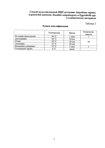 Способ мультиплексной пцр-детекции atopobium vaginae, leptotrichia amnionii, sneathia sanguinegens и eggerthella spp. в клиническом материале (патент 2583924)