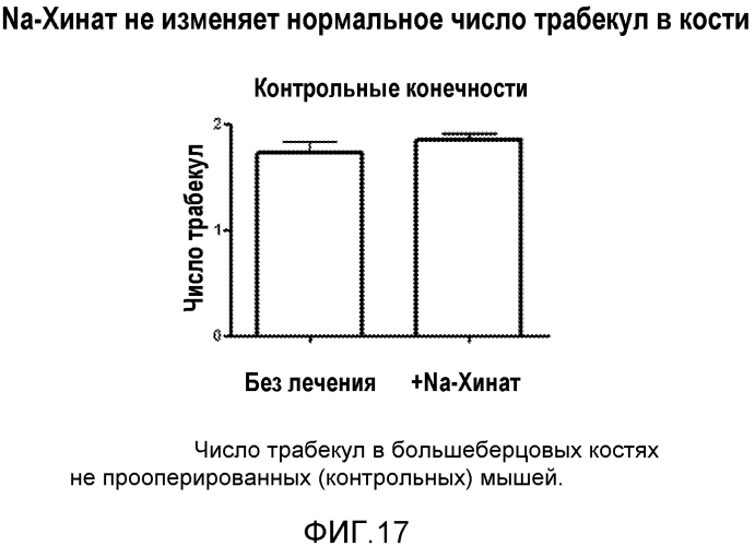 Лечение остеопороза (патент 2562976)