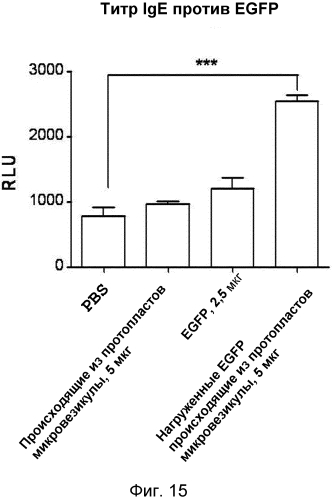 Микровезикулы, происходящие из протопластов клеток, и их применение (патент 2570636)