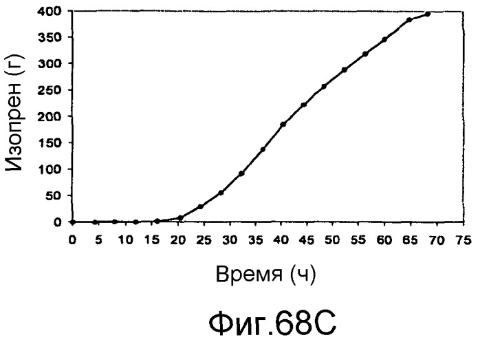 Полимеры изопрена из возобновляемых источников (патент 2505605)