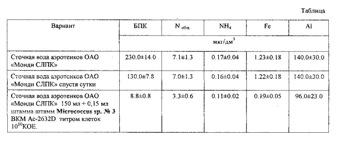 Штамм micrococcus sp., предназначенный для снижения содержания общего азота, аммоний-иона, железа и алюминия в сточных водах очистных сооружений промышленных предприятий (патент 2567010)