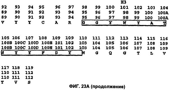 Способы лечения боли, вызванной остеоартритом, путем введения антагониста фактора роста нервов и содержащих его композиций (патент 2429013)