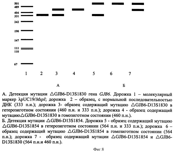 Способ детекции 17 мутаций генов gjb2 и gjb6 при наследственной несиндромальной глухоте (патент 2448163)