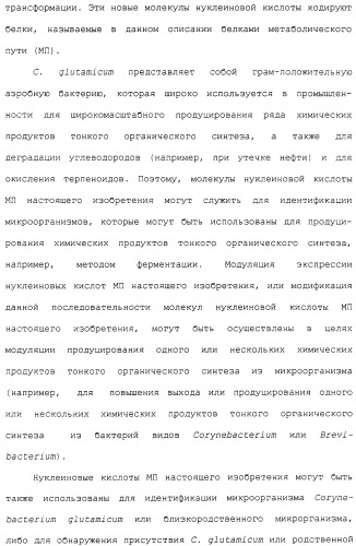 Гены corynebacterium glutamicum, кодирующие белки метаболических путей (патент 2306339)