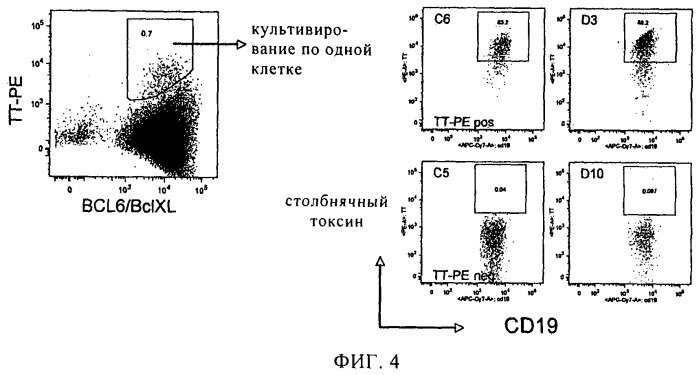 Рсв-специфичные связывающие молекулы и средства для их получения (патент 2527067)