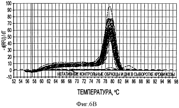 Вакцины на основе свиного вируса torque teno и способы диагностики инфекций, вызванных этим вирусом (патент 2553223)