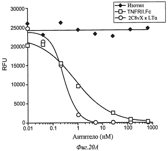 Антитела к лимфотоксину-альфа (патент 2486201)