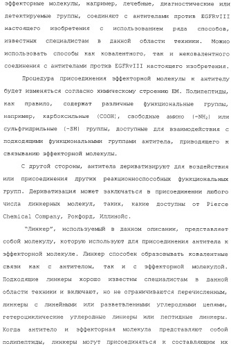 Scfv против egfrviii с улучшенной цитотоксичностью и выходом, иммунотоксины на их основе и способы их применения (патент 2317999)