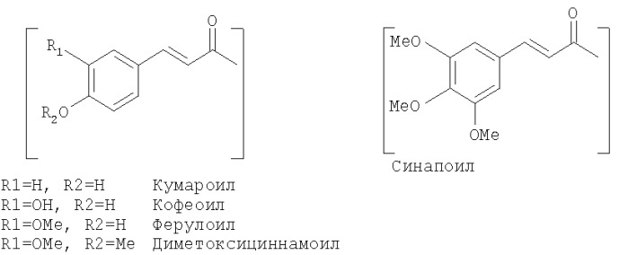 Кофейный продукт (патент 2404671)