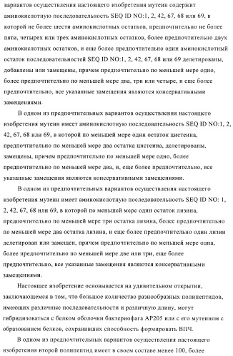 Вирусоподобные частицы, включающие гибридный белок белка оболочки бактериофага ар205 и антигенного полипептида (патент 2409667)