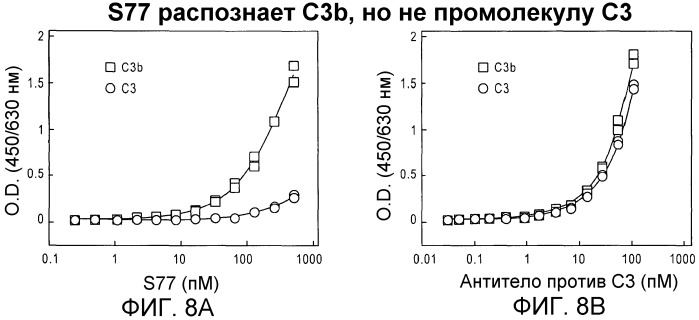 Антитела против c3b и способы профилактики и лечения связанных с комплементом нарушений (патент 2473563)