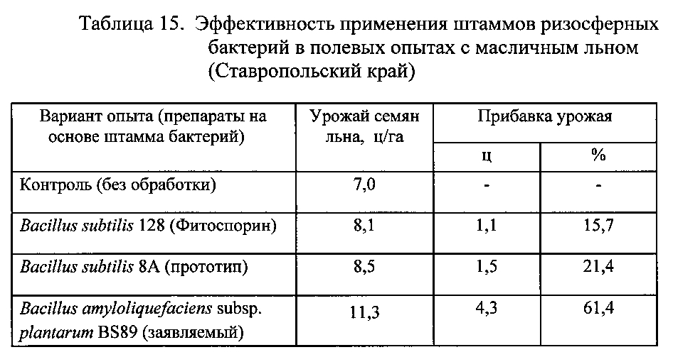 Штамм бактерий bacillus amyloliquefaciens subsp. plantarum bs89 в качестве средства повышения продуктивности растений и их защиты от болезней (патент 2599416)