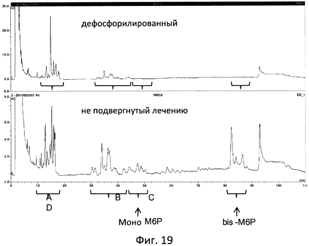 Фермент лизосомальной болезни накопления (патент 2575074)