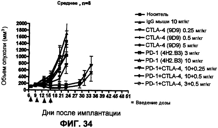 Моноклональные антитела человека к белку программируемой смерти 1 (pd-1) и способы лечения рака с использованием анти-pd-1-антител самостоятельно или в комбинации с другими иммунотерапевтическими средствами (патент 2406760)