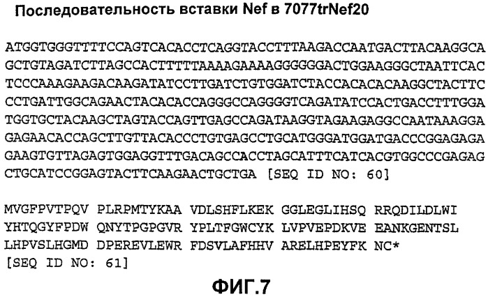 Последовательность нуклеиновой кислоты, кодирующая белок gag вич-1, способ получения указанной последовательности, вектор, содержащий ее, белок, кодируемый ею, фармацевтическая композиция и их применение для профилактики и/или лечения вич-инфекции и спида (патент 2312896)