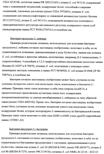 Способ получения l-треонина с использованием бактерии, принадлежащей к роду escherichia, модифицированной таким образом, что в ней нарушена способность к образованию ворсинок типа &quot;керли&quot; (патент 2338782)