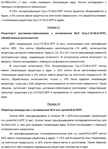 Способ идентификации соединений, взаимодействующих с трансмембранными белками (патент 2326166)