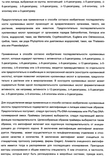 Способ получения полиненасыщенных кислот жирного ряда в трансгенных организмах (патент 2447147)