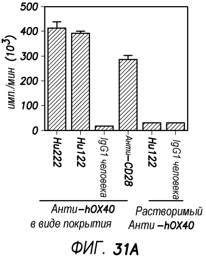 Антитела против ох40 и способы их применения (патент 2562874)