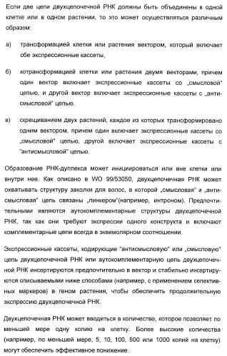 Способ повышения стойкости к стрессовым факторам в растениях (патент 2375452)